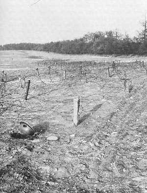 The Siegfried Line Defenses.