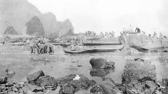The landing on Kiska. Note that the timing for invasion was wrong, as it is obviously low tide, a mistake for any operation involving small craft. US Navy Photo.